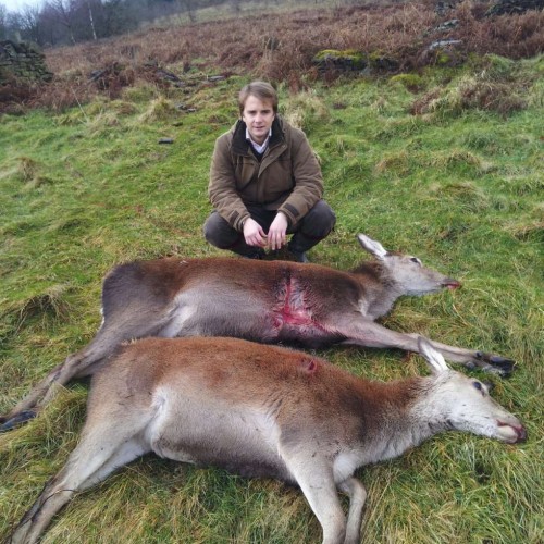 2 cull hinds 