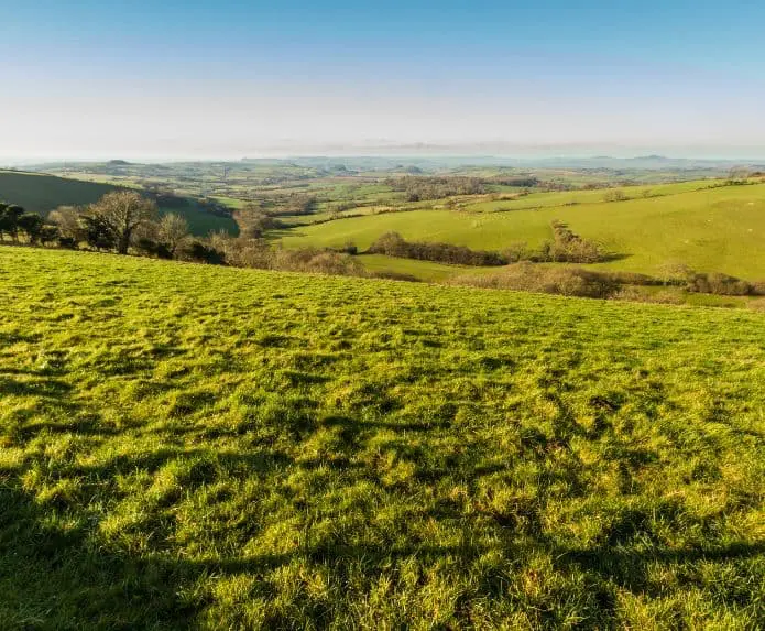 dorset-2